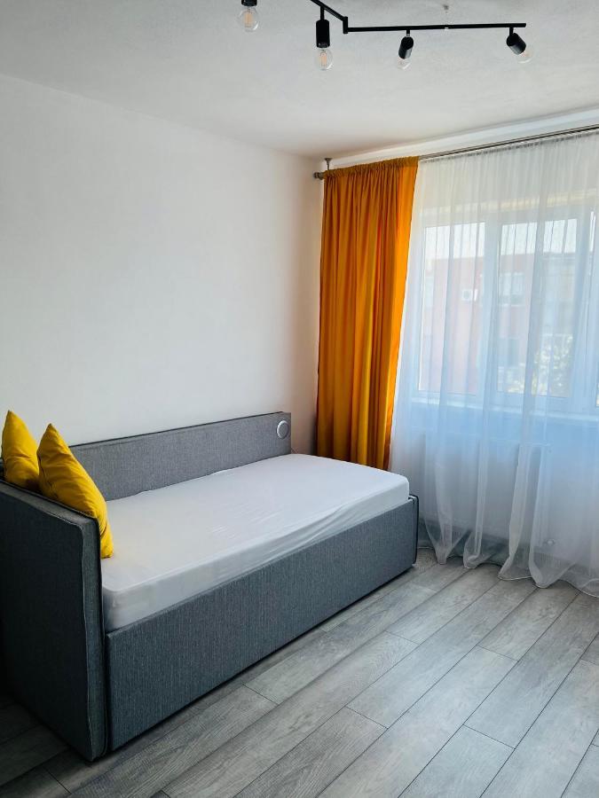Miha Modern And Central Apartament Arad Extérieur photo