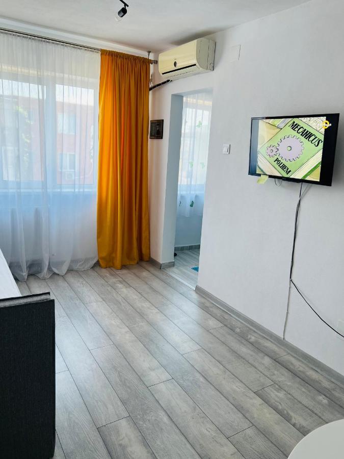 Miha Modern And Central Apartament Arad Extérieur photo